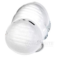 Dust Mask, WT9309, protection against non-toxic dust, common airborne irritants